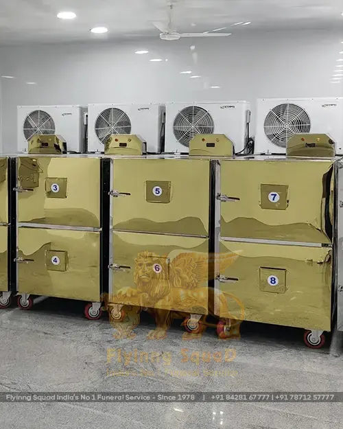 Cold Storage Cold Storage