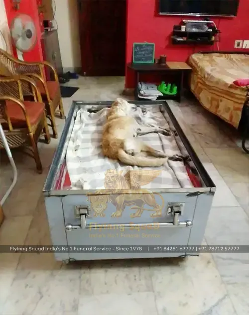 Pet Funeral Service Pet Funeral Service
